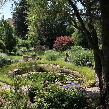 Fewo - Wohlfuehlambiente & Gartenparadies Modautal Dış mekan fotoğraf