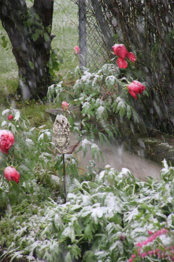 Fewo - Wohlfuehlambiente & Gartenparadies Modautal Dış mekan fotoğraf