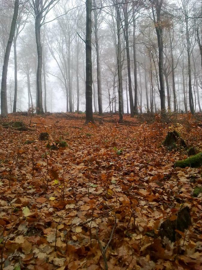 Fewo - Wohlfuehlambiente & Gartenparadies Modautal Dış mekan fotoğraf