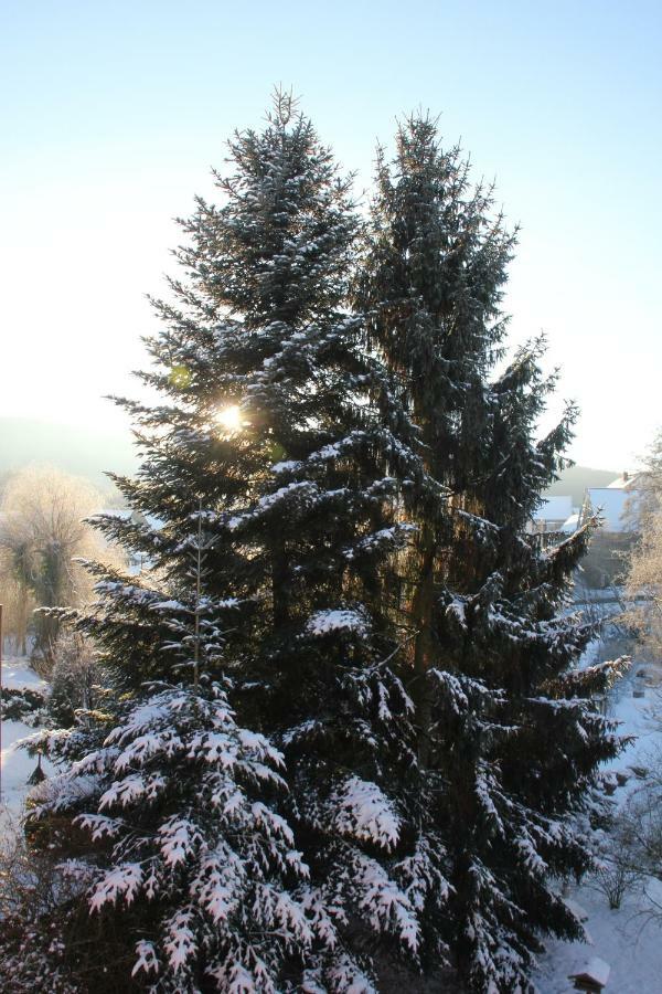 Fewo - Wohlfuehlambiente & Gartenparadies Modautal Dış mekan fotoğraf